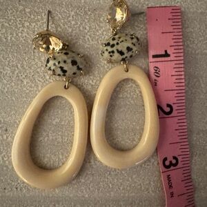 Schaffer Resin Drop Earrings